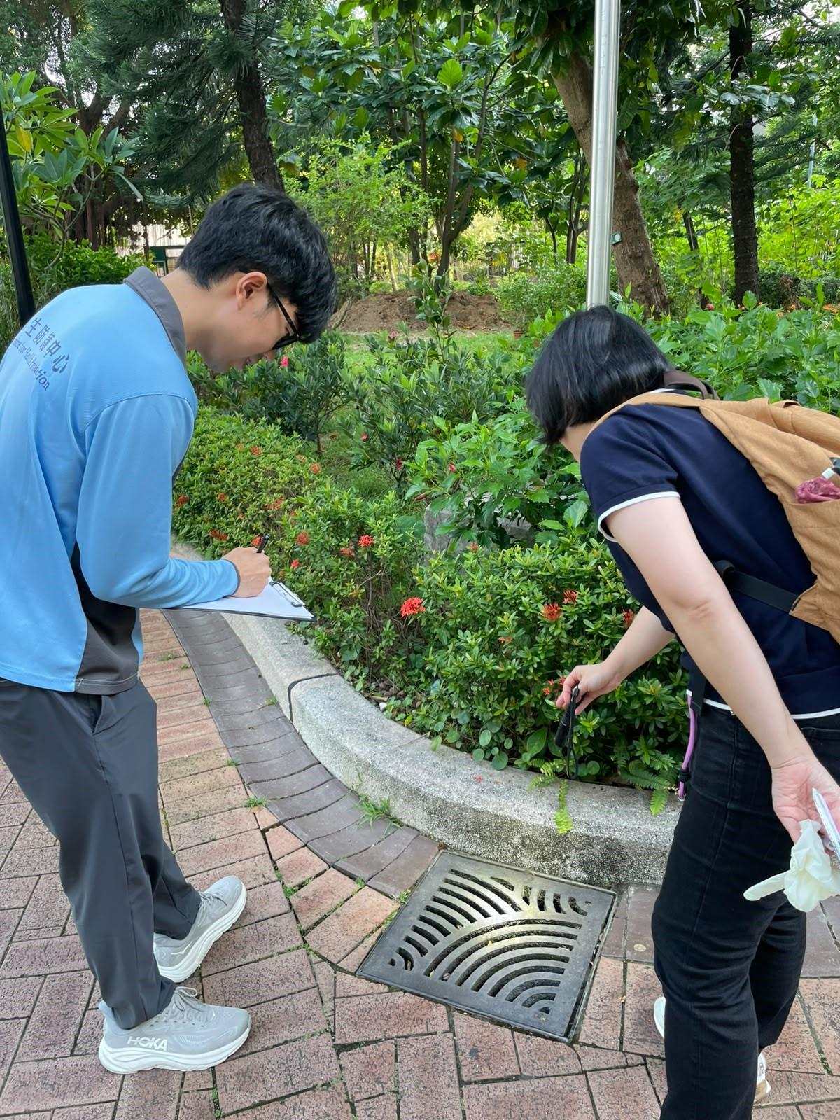 本港錄今年首宗本地基孔肯雅熱個案 55歲婦感染