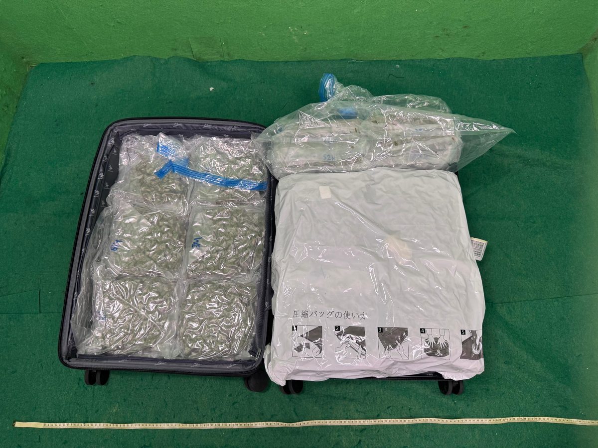 海關機場檢820萬大麻花拘英籍旅客