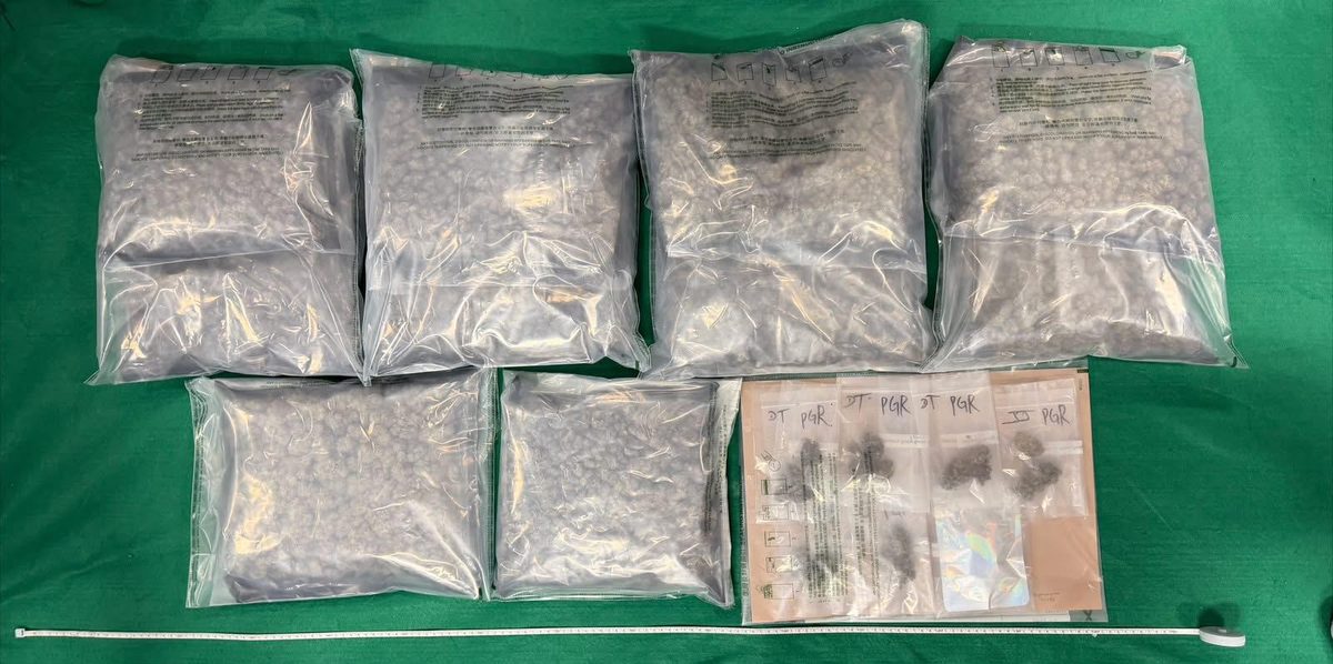 海關機場破入境販毒案拘兩內地男