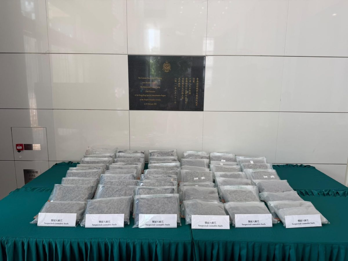 海關「火網」行動檢半億元大麻花拘十人