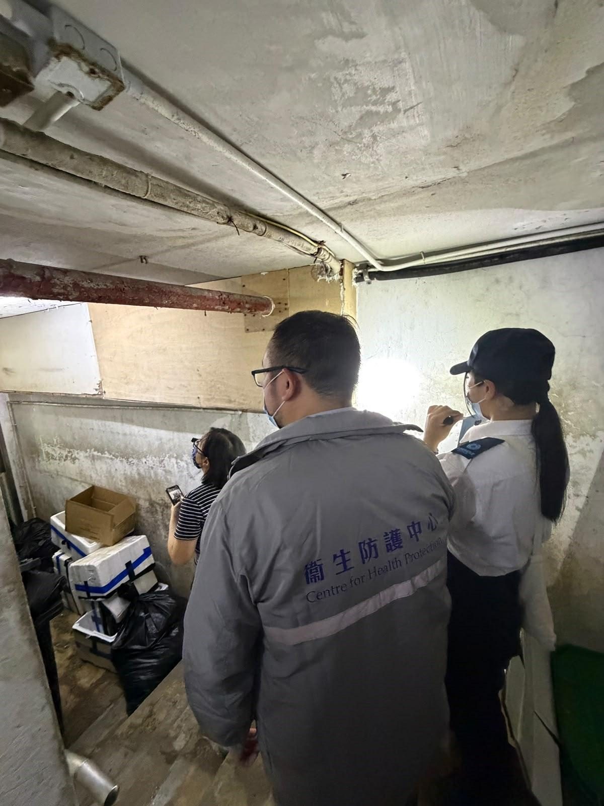 九龍城九旬翁染大鼠戊型肝炎